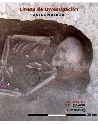 Antropología