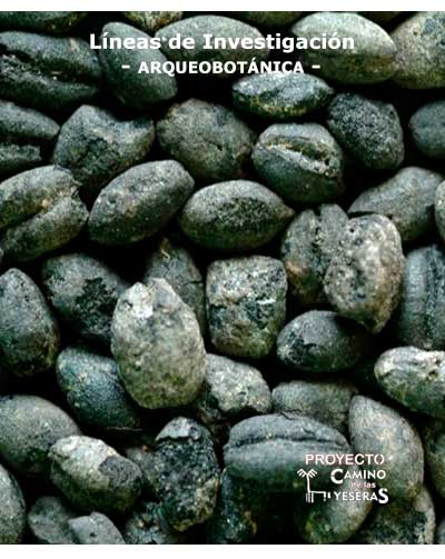 Arqueobotánica