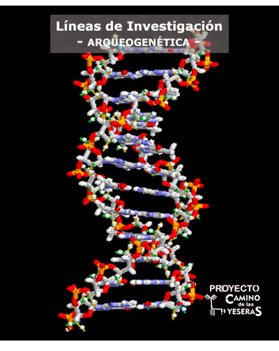 Arqueogenética