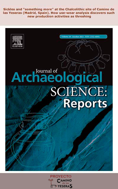 Sickles and “something more” at the Chalcolithic site of Camino de las Yeseras (Madrid, Spain). How use-wear analysis discovers such new production activities as threshing